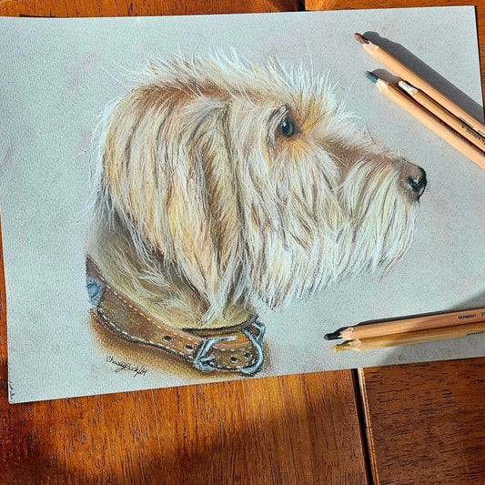 Custom Pet Portrait