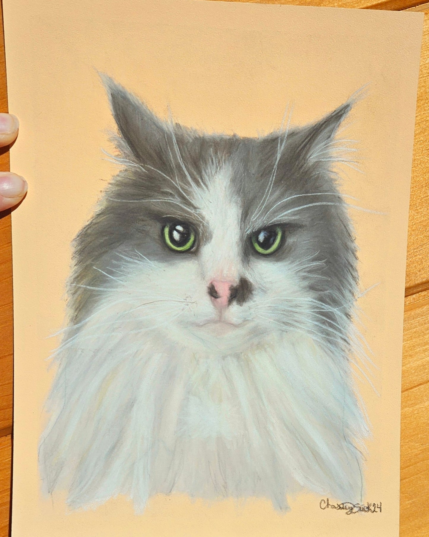 Custom Pet Portrait